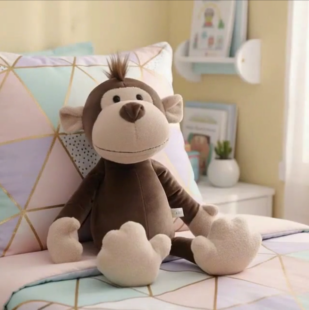 Rafi the Monkey